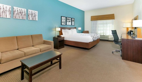 Suite, 1 King Bed, Accessible, Bathtub (Non-Smoking)