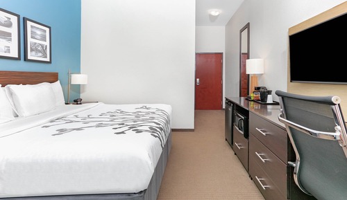 Deluxe Suite, 1 King Bed, Accessible, Non Smoking