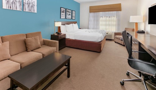Suite, 1 King Bed, Non Smoking