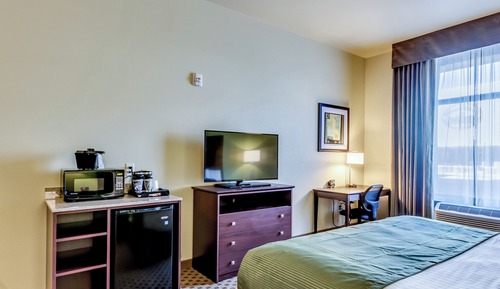 Room, 1 King Bed, Accessible Roll in Shower, Non Smoking