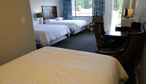 Room, Multiple Beds