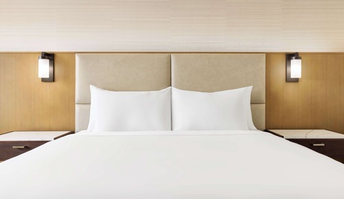 Room, 1 King Bed