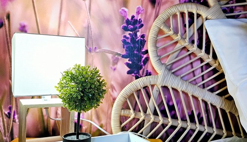 Comfort Double Room, Garden View