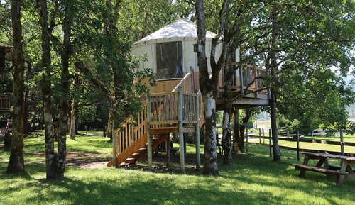 The Yurttree