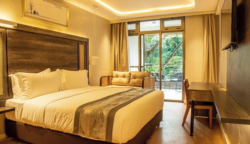 Family Double or Twin Room