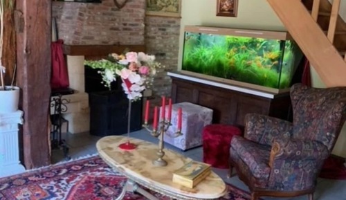 Comfort Triple Room, Mountain View