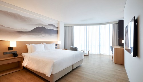 Deluxe Room, 1 King Bed (No View)
