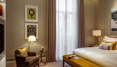 Superior Suite