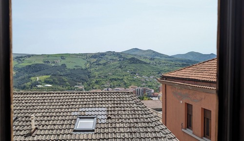 Basic Double or Twin Room