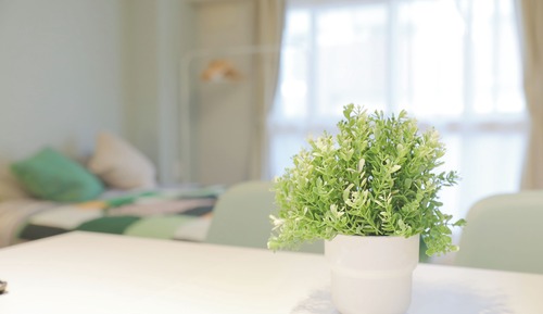 Standard Room, Non Smoking, Kitchen (202)