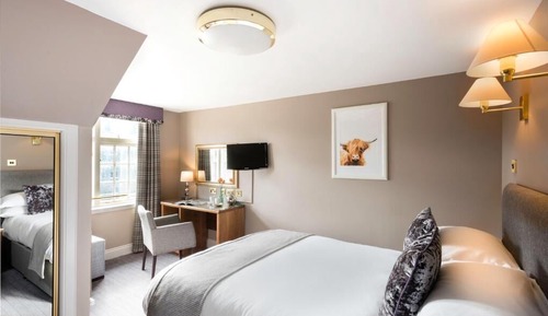 Junior Double Room