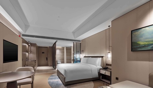 Basic Room, 1 King Bed