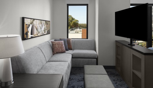 Studio Suite, 1 King Bed with Sofa bed, Roll-in Shower, Kitchen