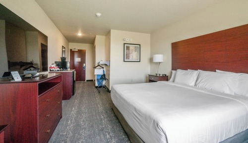 Room, 1 King Bed, Accessible, Non Smoking (Guestroom Audible/Visual Alert)
