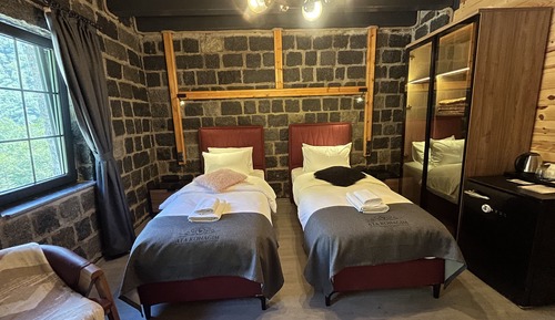 Basic Double or Twin Room