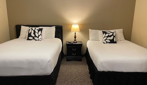 Comfort Suite