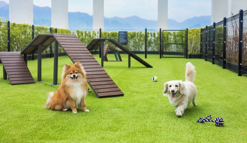 Superior Twin (Pet-Friendly | Rabies Cert. within 1 yr & Agreement Required | Breed Restrictions)