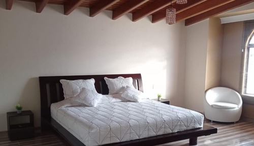 Basic Suite, 1 Bedroom