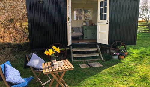 Cabin