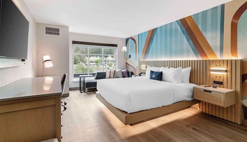 Room, 1 King Bed, Accessible, Non Smoking