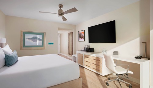 Room, 1 King Bed