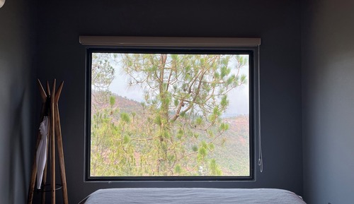 Deluxe Room, 1 King Bed (Forest Pods)