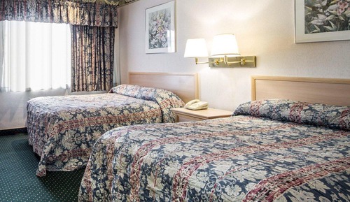 Standard Room, 2 Double Beds, Non Smoking