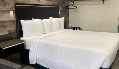 Room, 1 King Bed