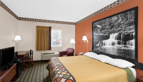 Room, 1 King Bed, Non Smoking
