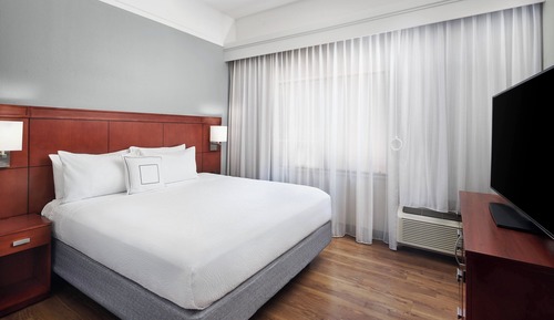 Room, 1 King Bed (Mobility Accessible, Roll-In Shower)