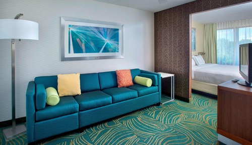 Suite, 1 King Bed with Sofa bed, Non Smoking (Mobility Accessible, Roll-In Shower)