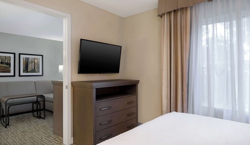 Suite, 1 King Bed (Homewood)
