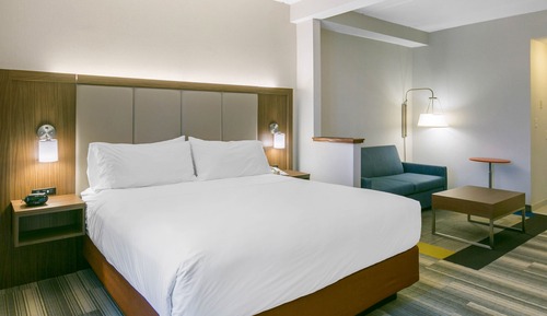 Suite, 1 King Bed with Sofa bed