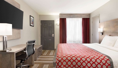 Room, 1 King Bed, Non Smoking