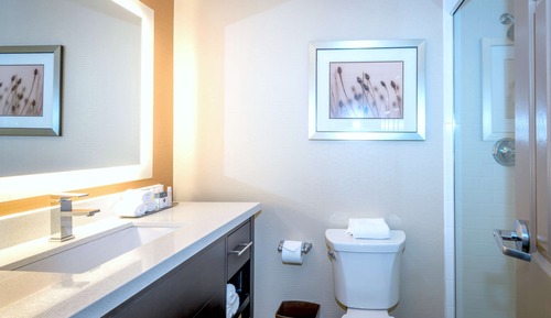 Deluxe Room, 1 King Bed, Non Smoking