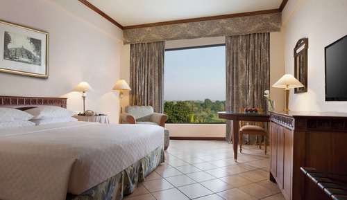 Room, 1 King Bed