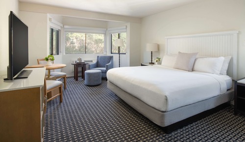 Room, 1 King Bed (Tiburon)