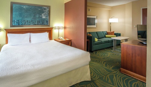 Suite, 1 King Bed with Sofa bed (Mobility/Hearing Access, Roll-In Shwr)