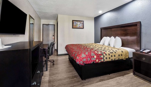 Standard Room, 1 King Bed, Non Smoking
