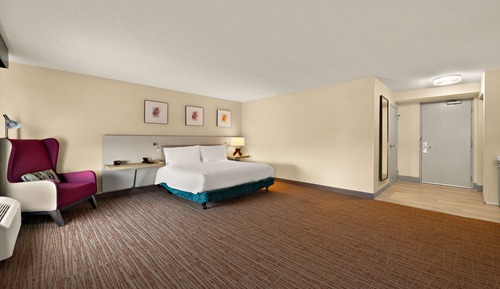 Standard Room, 1 King Bed, Accessible (Hearing Accessible with Bathtub)