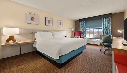 Room, 1 King Bed (Shower Only)