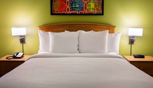Suite, 1 Queen Bed with Sofa bed, Accessible (Mobility/Hearing One Bedroom)