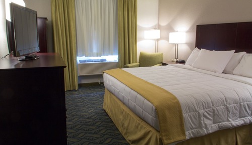 Standard Room, 1 King Bed, Non Smoking
