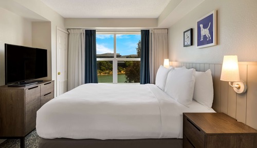 Suite, 1 Queen Bed with Sofa bed