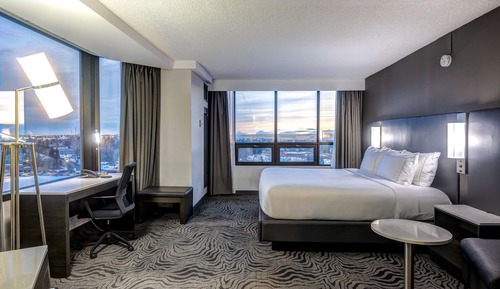 Suite, 1 King Bed