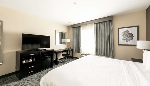 Standard Room, 1 King Bed, Non Smoking