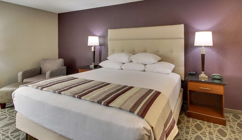 Deluxe Room, 1 King Bed, Accessible, Refrigerator & Microwave (Roll in Shower)