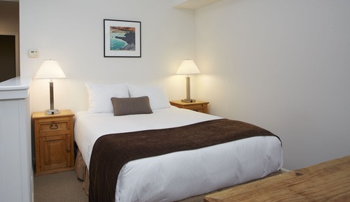 Premium Studio, 1 Queen Bed with Sofa bed