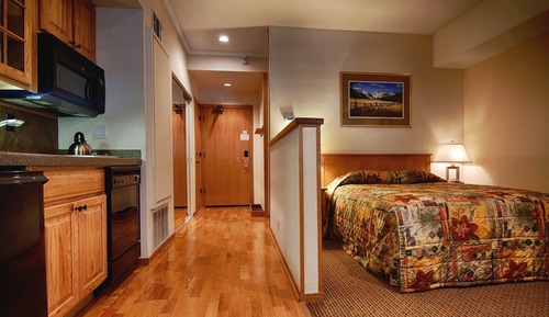 Deluxe Studio (Condo)