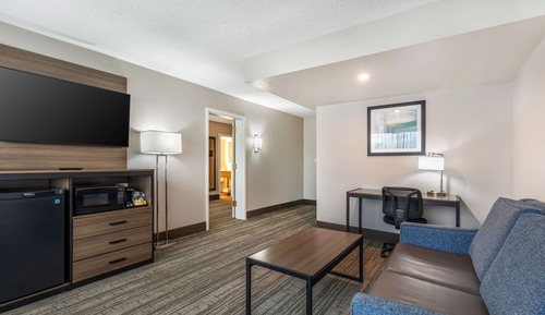 Suite, 1 King Bed, Non Smoking, Refrigerator & Microwave (with Single Sofabed)